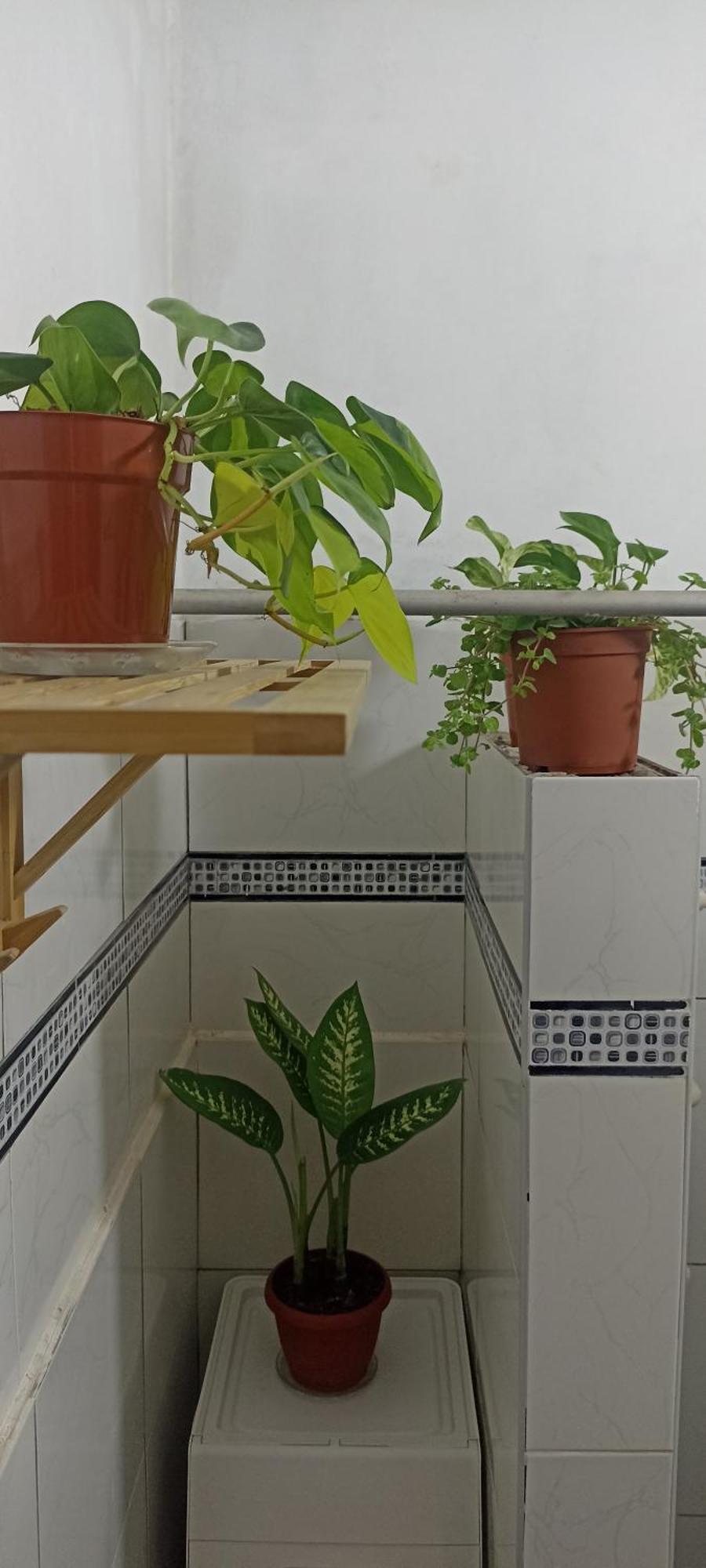 דירות לימה Casita Libertad Barranco מראה חיצוני תמונה