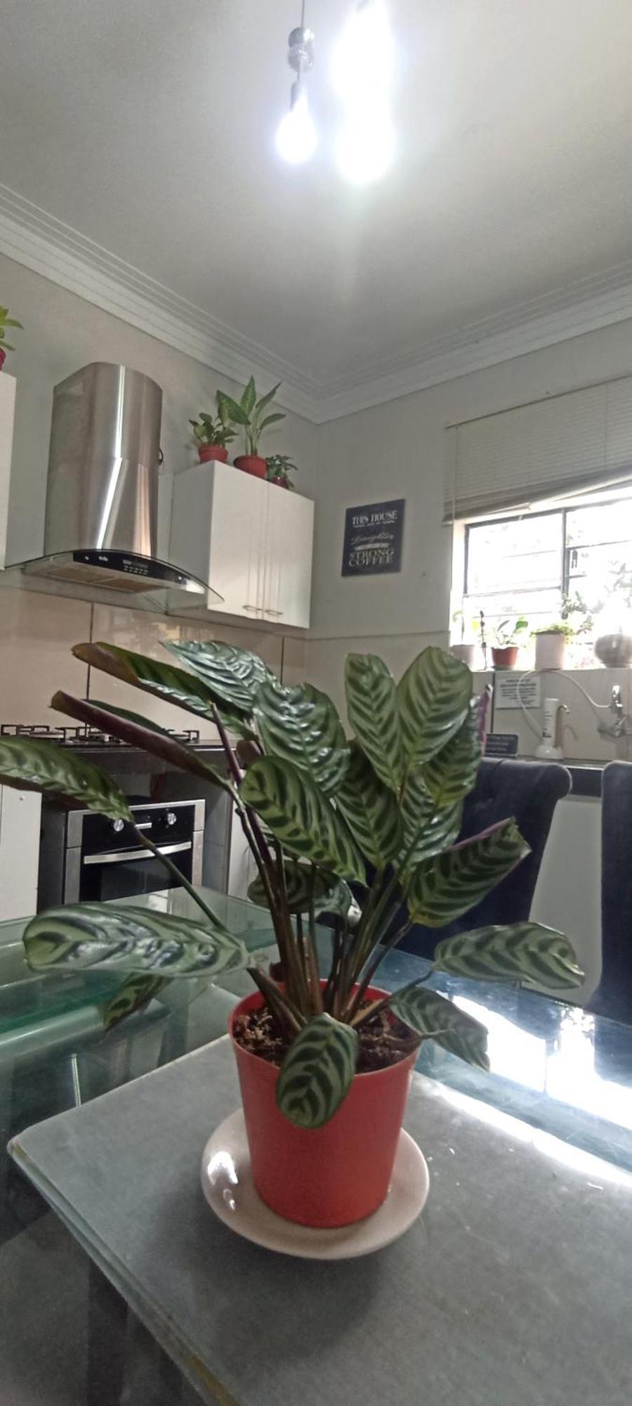 דירות לימה Casita Libertad Barranco מראה חיצוני תמונה