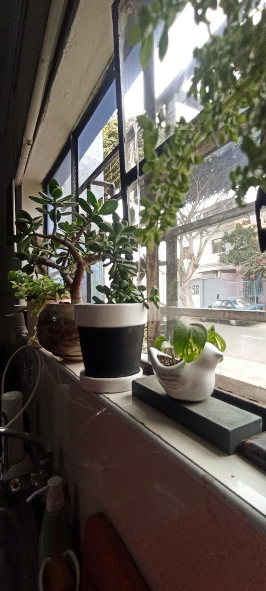דירות לימה Casita Libertad Barranco מראה חיצוני תמונה